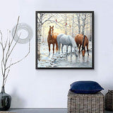 DIY 5D Diamond Painting Horse by Number Kits Winter Snow Paint with Diamond Art Animal Cross Stitch Full Drill Rhinestone Embroidery Pictures Arts Craft for Home Wall Decor Gift-12X12inch