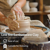 Old Potters Low Fire Pottery Clay White, 5 lbs (Cones 04 - 3) Art Modeling Clay, Ideal for Wheel Throwing and Hand Building, Pottery Clay for Sculpting, Beginners, and Advanced, 5 lbs White