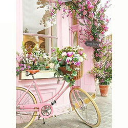 DIY Diamond Painting Kits for Adults, Kids,Office Decor Room House Presents for Her Him Pink Bike 11.8x15.7in Pack by Cenda
