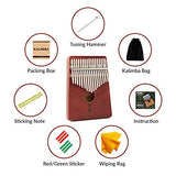 TimberTunes 17 Key Kalimba Thumb Finger Piano Therapy Musical Instrument for Adults Children, Solid Mahogany Wood, Engraved Elk Antler,Tuning Hammer and Music Book, Engraved Keys, Velvet Case, Unique
