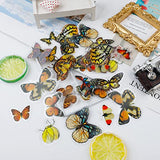 200 Pieces 5 Style Lovely Butterfly Stickers for Resin Art, PET Transparent Vintage Stickers Waterproof Decorative Stickers for Scrapbook DIY Crafts Album Bullet Journal Planner Silicone Resin Molds (Lovely)