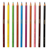 Crayola Colored Long Pre-sharpened Pencils (Great For Adult Coloring) - 36 Ea