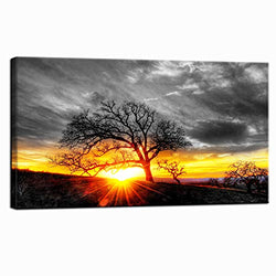 Nachic Wall Modern Wall Art Decor Black and White Tree at Gold Sunset Picture Canvas Prints Nature Landscape Painting Artwork for Living Room Bedroom Decoration Framed Ready to Hang 20x36