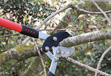 TABOR TOOLS GG12 Compound Action Anvil Lopper, Chops Thick Branches with Ease, 2-Inch Cutting Capacity, 30-Inch Tree Trimmer with Sturdy Professional Extra Leverage 22-Inch Handles.