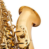 Jean Paul USA Intermediate Tenor Saxophone TS-400
