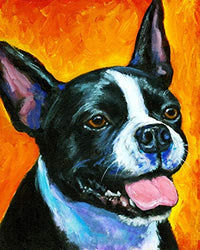 Colorful Boston Terrier Cute Pet Dog﹣ DIY 5D Diamond Painting Kits ﹣ Full Drill Rhinestone Crystal Embroidery Pictures Cross Stitch Art Craft for Home Decor