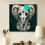 5D DIY Diamond Painting Full Drill Cross Stitch Kit Diamond Painting Number Kits Embroidery Art for Adults Elephant 11.8x11.8in 1 Pack by SinyaBRA
