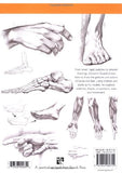 Art of Drawing: Drawing Hands & Feet: Form, Proportions, Gestures and Actions