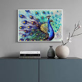 MXJSUA DIY 5D Diamond Painting by Number Kits Round Drill Rhinestone Pictures Arts Craft Home Wall Decor 12x16In Peacock