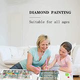 Flower Diamond Painting Kits, 5D Diamond Art Kits Full Drill Diamond Painting Kits for Adults, Painting with Diamonds Arts and Crafts for Adults Flower Excitation Language Home Wall Decor 12X 16 inch