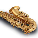 Saxophone,E-flat Brass alto saxophone with suitcase,Full Tenor saxaphone for beginners Students, 10 Alto saxophone reeds, Glove, Strap, Box,Brush, Cleaning cloth, 8 Mouthpiece Cushion Pads