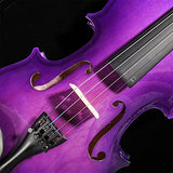 Student Violin Purple Violin Solid Wood Violin Children Beginners Practice Violin (Color : 4/4)