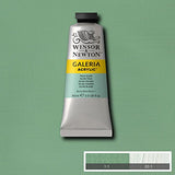 Galeria Acrylic Paint 60ml/Tube-Pale Olive