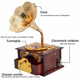 Fding Classical Trumpet Horn Turntable Gramophone Art Disc Music Box & Make up Case &Jewelry Box