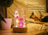 SWEETIME Enchanted Rose Lamp with Bluetooth Speaker, Real Flower LED Night Light, Preserved Pink