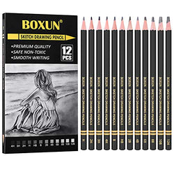 Artist Sketching Pencils Set - Professional 12 Pieces Drawing Pencils 12B, 10B, 8B, 6B, 4B, 2B, B, HB, H, 2H, 3H, 4H Graphite Shading Pencils for Beginners and Students