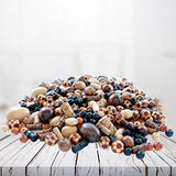 Over 700 Pieces Wood Beads for Jewelry Making with Free Sample Necklace - 24 Assorted Natural