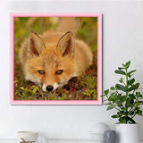DIY 5D Diamond Painting by Number Kits,Crystal Rhinestone Embroidery Paint with Diamonds Full Drill Home Decor Cute Fox 11.8x11.8in 1 Pack by SAROW