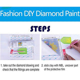 Fivebop DIY 5D Diamond Painting Set Full Drill Rhinestone Crystals Embroidery Birds Cross Stitch Arts Craft Home Wall Decorating
