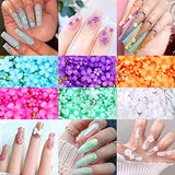 BFONS 12Boxes 2000PCS 3D Flower Nail Charms，Nail Art Set for DIY Nail Decorations，10 Colors Styles Nail Rhinestones with Gold Silver Pearl Spring Summer Nail Decorations for Women