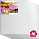 Canvas Panels 12 Pack - heartybay 8"X10" Super Value Pack Artist Canvas Panel Boards for Painting