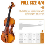 Violin 4/4 Full Size, AKLOT Acoustic Fiddle for Beginners Adults Solid Maple Kit Professional with Hygrometer Rod Shoulder Drag Rosin Strings Blue Lining Gig Bag