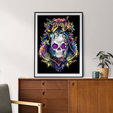 Sonsage Diamond Painting Kits for Adult,Halloween Skull 5D DIY Diamond Art Drills Embroidery,Paint with Diamonds Gem Arts and Crafts for Wall Decor Gift 12x16 Inch