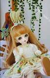Zgmd 1/6 BJD Doll BJD Dolls Ball Jointed Doll Cute Girl With Face Make Up