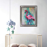 DIY 5D Diamond Painting by Number Kits, Painting Cross Stitch Full Drill Crystal Rhinestone Embroidery Pictures Arts Craft for Home Wall Decor Gift Colorful Flamingo (J4763-11.8X15.7in)