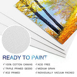 LotFancy Canvas Boards for Painting, Pack of 28, 5x7", 8x10", 9x12", 11x14", Canvases for Painting Multipack with Label Stickers, Triple Primed Cotton Canvas Panels for Oil Acrylic Painting