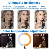 GSKAIWEN 18inch 65W LED Makeup Ring Light with Mirror for Eyebrow Tattoo Light Lash Lamp Beauty Light Eyelash Extension Lamp Studio Video Photography Light with Tripod Phone Holder Mirror and Bag