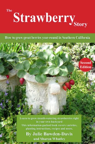 The Strawberry Story: How to grow great berries year-round in Southern California