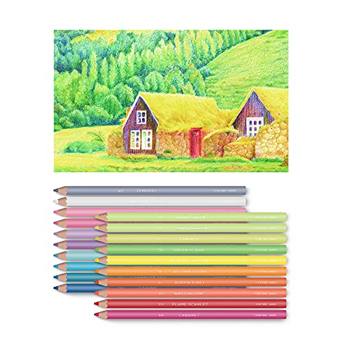  520 Colored Pencils, Professional Grade Rich Pigment Soft  Core, Coloring Pencils Suitable for Children, Adults, Artists Coloring  Sketching and Painting : Arts, Crafts & Sewing