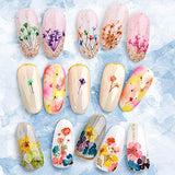 324PCS Dried Flowers Nail Art - Nail Art Accessories Kits, 81 Color Lovely Natural Nail Art, Dried Flowers for Resin Molds, YWLI