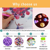 BFLC Crystal 5D Diamond Painting Kit of Paris Sky with a Girl and Her Pink Balloons, DIY Handcraft Art Longitudinal Accessories for Home Decoration (Paris)