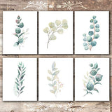 Botanical Prints Wall Art - Eucalyptus Leaves - (Set of 6) - Unframed - 8x10s