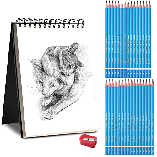Art Supplies Reviews and Manga Cartoon Sketching: Royal Langnickel Sketching  Pencils Set Review