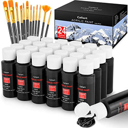 Caliart Black Acrylic Paint Set with 12 Brushes for Canvas Ceramic Wood Slices Christmas Ornaments Rock Painting, Craft Acrylic Paints Supplies for Artists Students Kids Beginners, 59ml/2oz, 24-Pack