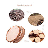 Natural Wood Slices  2.75"-3.15" with Holes Craft Wood and 33Ft Jute Twine for Christmas