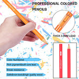 520 Colored Pencils, Professional Grade Rich Pigment Soft Core, Coloring Pencils Suitable for Children, Adults, Artists Coloring Sketching and Painting