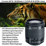 Canon EOS 90D DSLR Camera w/ 18-55mm Lens Bundle + Canon 75-300mm III Lens, Canon 50mm f/1.8 & 500mm Preset Lens + Case + 96GB Memory + Speedlight Flash + Professional Bundle