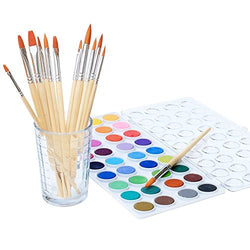Watercolor Artist Set, 36 Colors, Includes a Variety of 12 Quality Brushes, Everything You Need to Get Started! Brushes Works Great for Watercolor and Acrylic (Watercolor Pan)