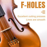 Violin 4/4 Full Size, AKLOT Acoustic Fiddle for Beginners Adults Solid Maple Kit Professional with Hygrometer Rod Shoulder Drag Rosin Strings Blue Lining Gig Bag