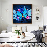 HaiMay 2 Pack DIY 5D Diamond Painting Kits by Number Kits Full Drill Painting Butterfly Diamond Pictures Arts Craft for Wall Decoration, Butterfly Diamond Painting Style (Canvas 12×12 inches)