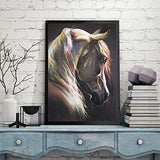 HaiMay 2 Pack DIY 5D Diamond Painting Kits Full Drill Rhinestone Painting Horse Diamond Pictures for Wall Decoration, Animal Diamond Painting Style (Canvas 12×16 Inch)