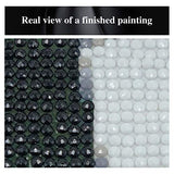 Diamond Painting Kit for Adult 5D DIY Full Round Drill Diamond Painting Sets Arts Craft for Home Decor Wedding Dress 11.8x15.7 in by Bemaystar
