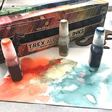 T-Rex Inks Premium Alcohol Inks Warm Earth Set- 12 Warm Tone Colors - Alcohol Ink for Epoxy Resin Dye, Painting, Tumbler Making & More - Includes Storage Box & Metallic Gold Ink - 20ml Bottles