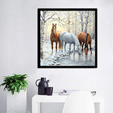 DIY 5D Diamond Painting Horse by Number Kits Winter Snow Paint with Diamond Art Animal Cross Stitch Full Drill Rhinestone Embroidery Pictures Arts Craft for Home Wall Decor Gift-12X12inch