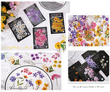 160Pcs Scrapbook Sticker Set DIY Decorative Nature Decal Sticker Stamp for DIY Craft Card Scrapbooking Journal Planner Notebook and Album Craft Bullet