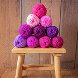 Studio Sam Acrylic Yarn Set. Ten Large 50g Skeins. Total 1030 Yards. for All Knitting, Crochet and Craft Projects. (Blossom Collection)